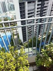The Lakefront Residences (D22), Condominium #516141231